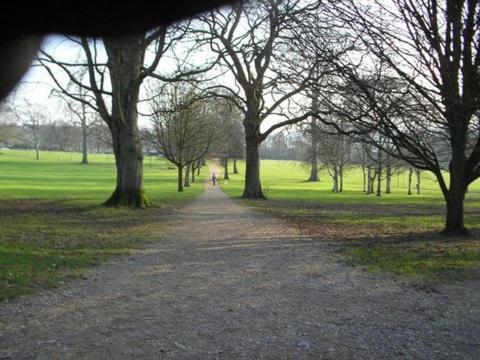 باث The Cottage At Weston Lawn المظهر الخارجي الصورة